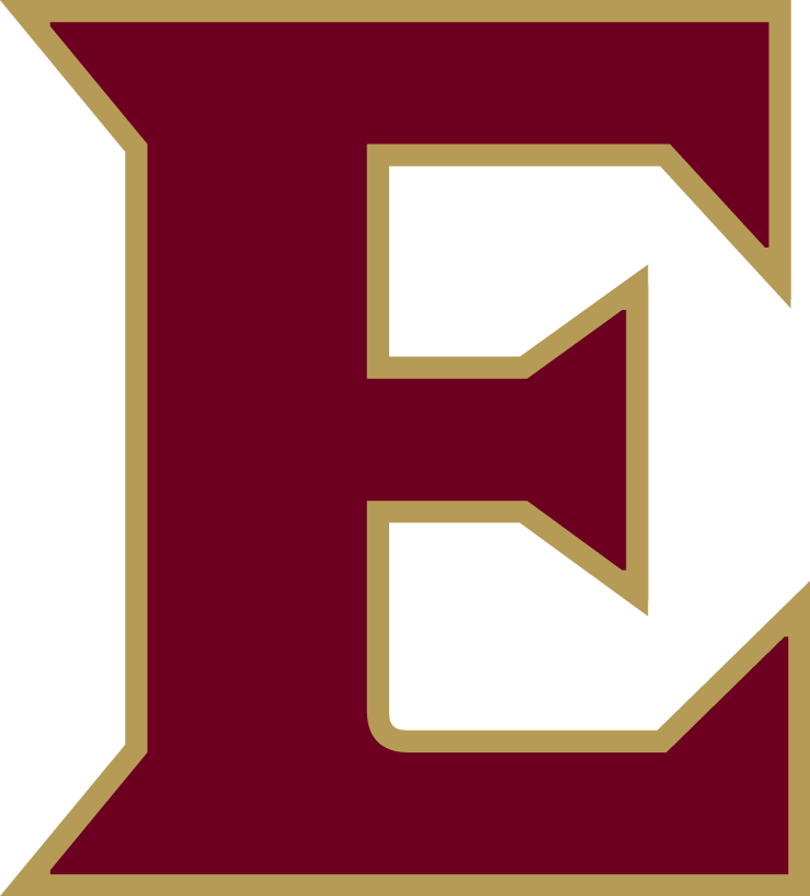 Elon Phoenix 2016-Pres Alternate Logo 01 iron on paper